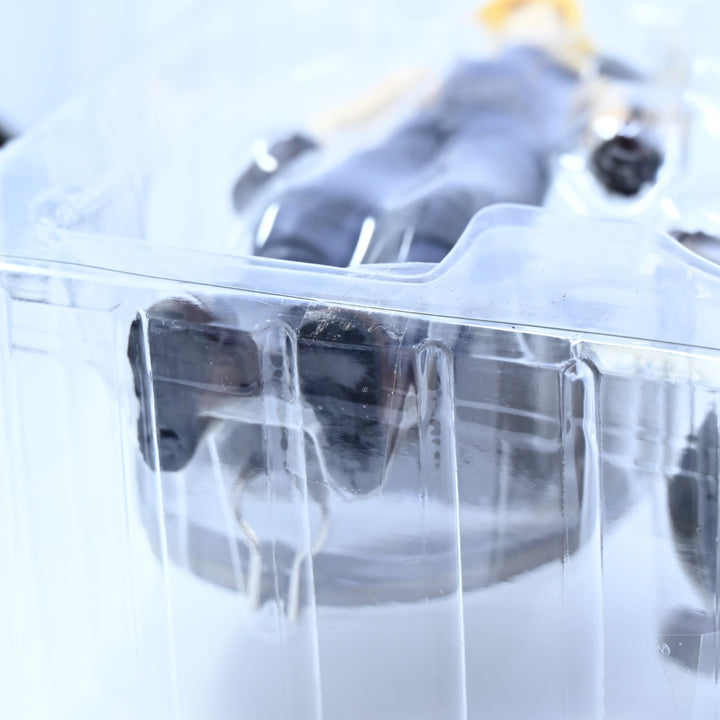 Cloud Strife & Hardy-Daytona - Final Fantasy VII Play Arts Vol.1 - Action Figure