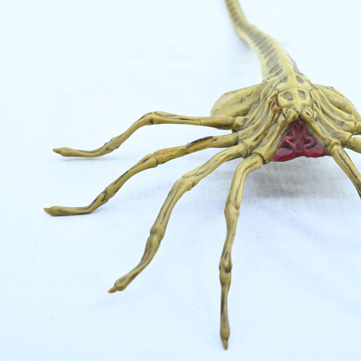 Aliens vs. Predator Collector's Edition Facehugger - Figure / Toy