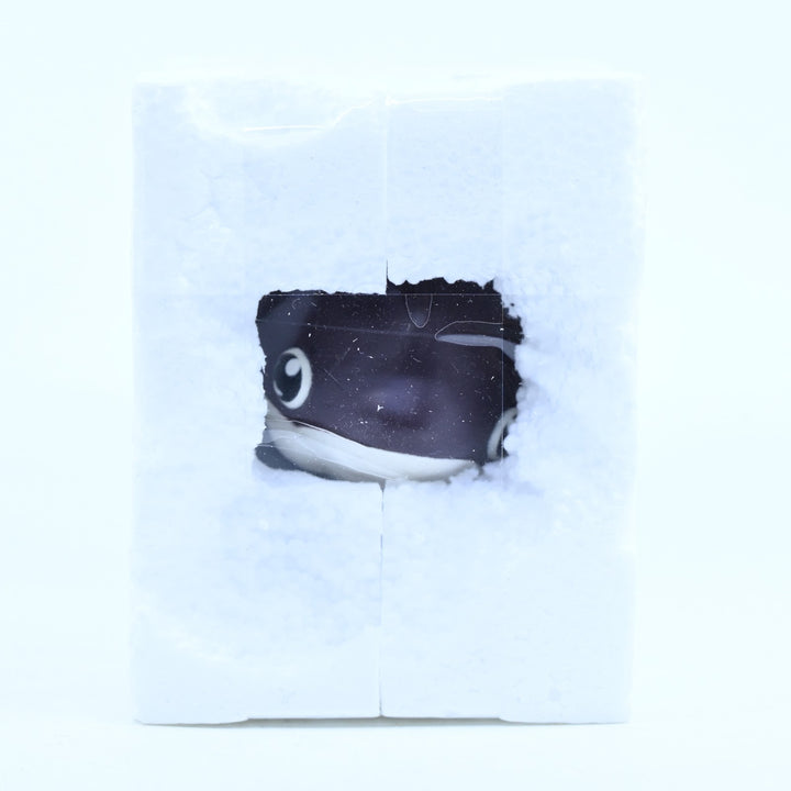 The Adorable Circle of Life Blind Box - Alex Solis - Shark & Seal - Figure