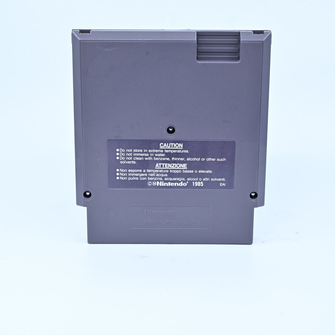 Wizards & Warriors - Nintendo Entertainment System / NES Boxed Game - PAL