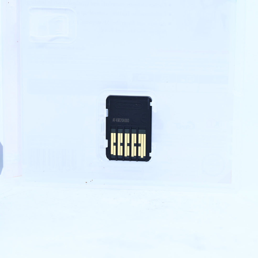 Atelier: Lydie & Suelle The Alchemists and the Mysterious Paintings Switch Game