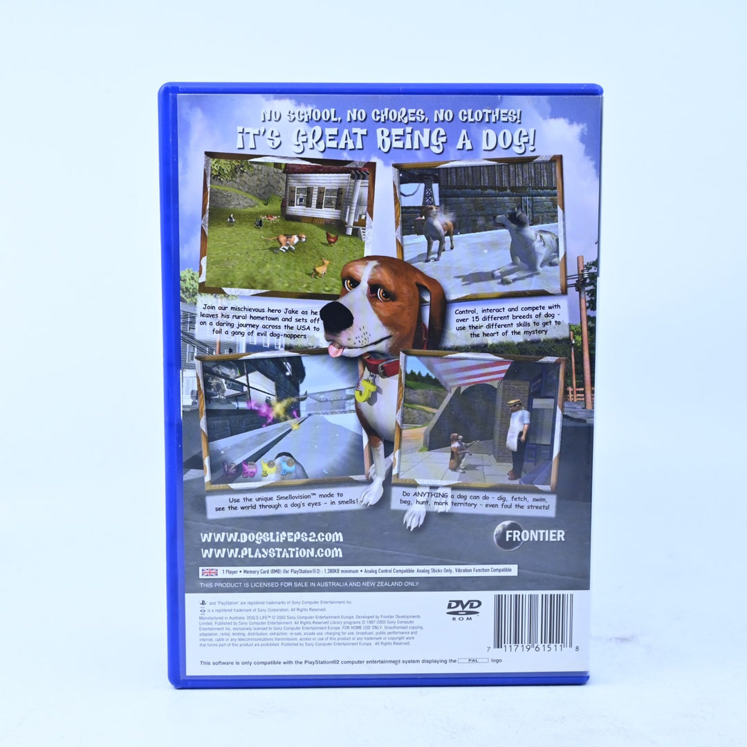 Dog&