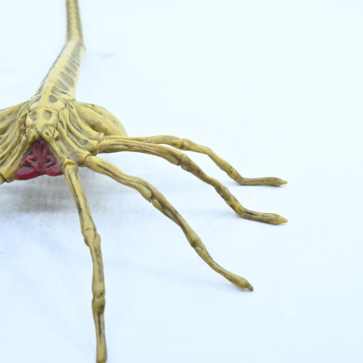 Aliens vs. Predator Collector's Edition Facehugger - Figure / Toy