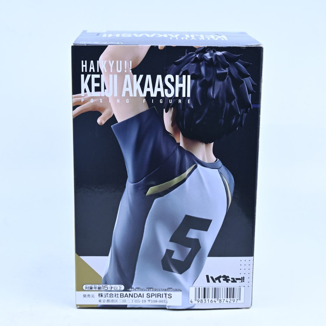SEALED! Keiji Akaashi - Haikyu!! - Posting Figure - Anime Figure - Banpresto