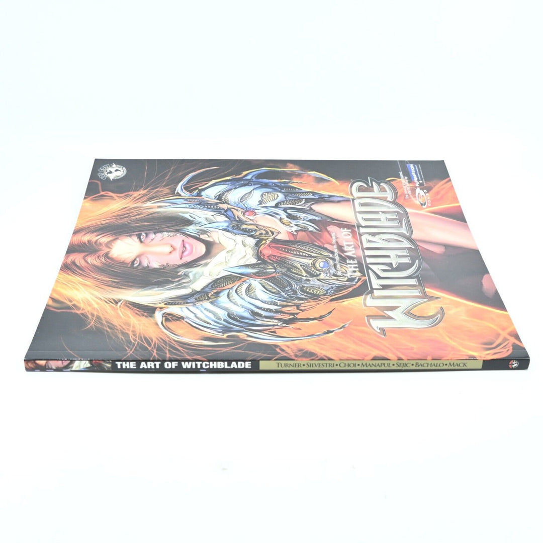 Art of Witchblade Art Book: volume 1 by Marc Silvestri (Paperback, 2008) - Book