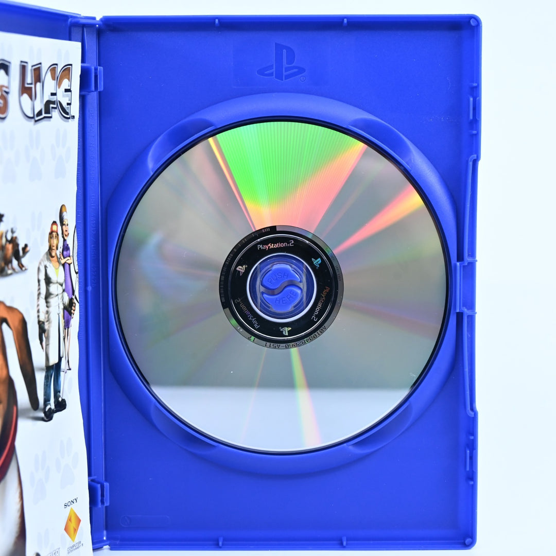 Dog's Life - Sony Playstation 2 / PS2 Game + Manual - PAL - MINT DISC!