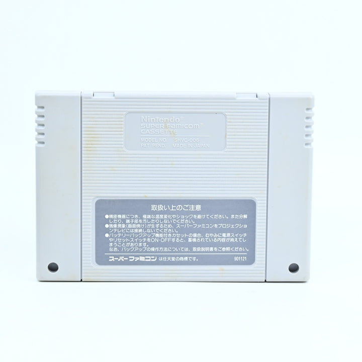 The Legend of Zelda: Link to The Past - SNES Game / Super Famicom Game - NTSC-J