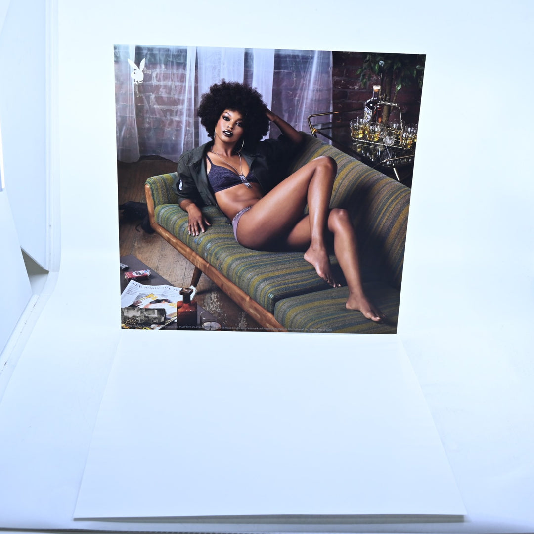 Mafia III: Collector's Edition Art Prints - Video Game Collectable