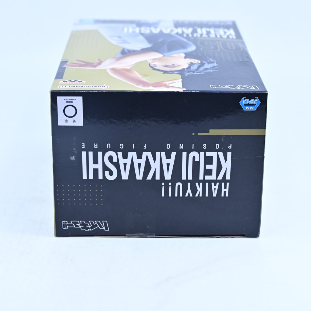 SEALED! Keiji Akaashi - Haikyu!! - Posting Figure - Anime Figure - Banpresto