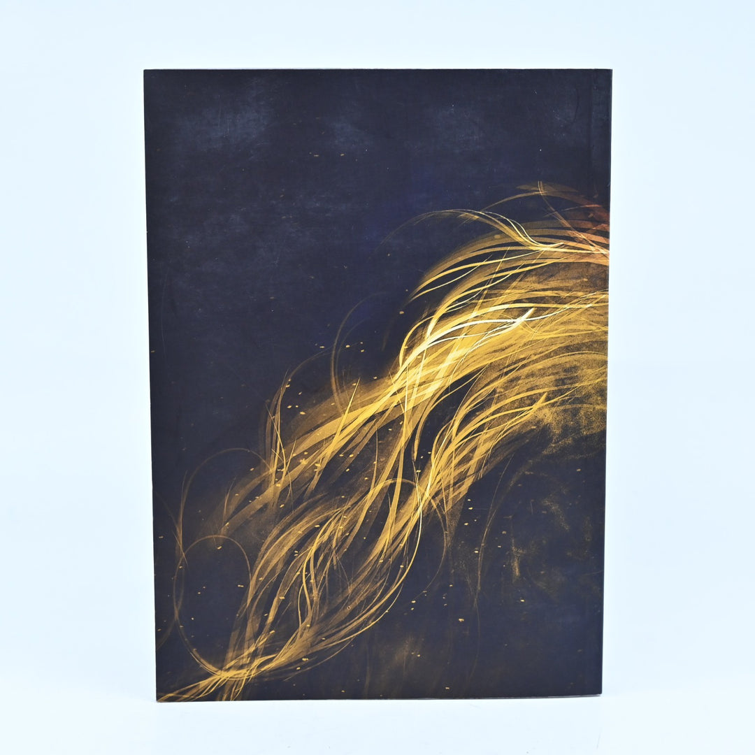 The Art of Tekken - Tekken Tag Tournament 2 - Art Book