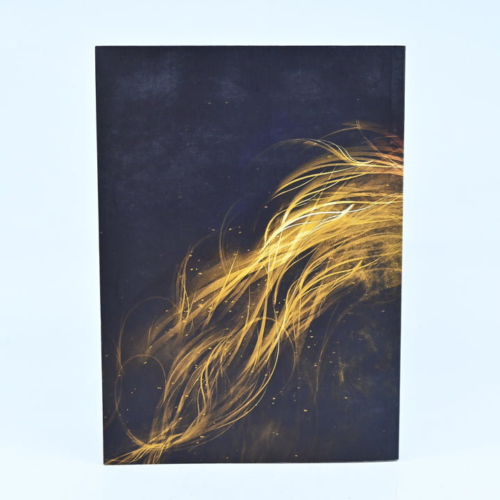 The Art of Tekken - Tekken Tag Tournament 2 - Art Book