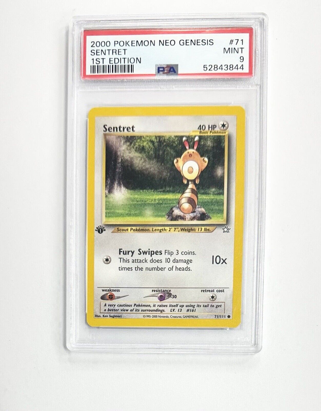 Sentret - Neo Genesis 71/111 - 1st Edition 2000 Pokemon TCG - PSA 9 FREE POST SS