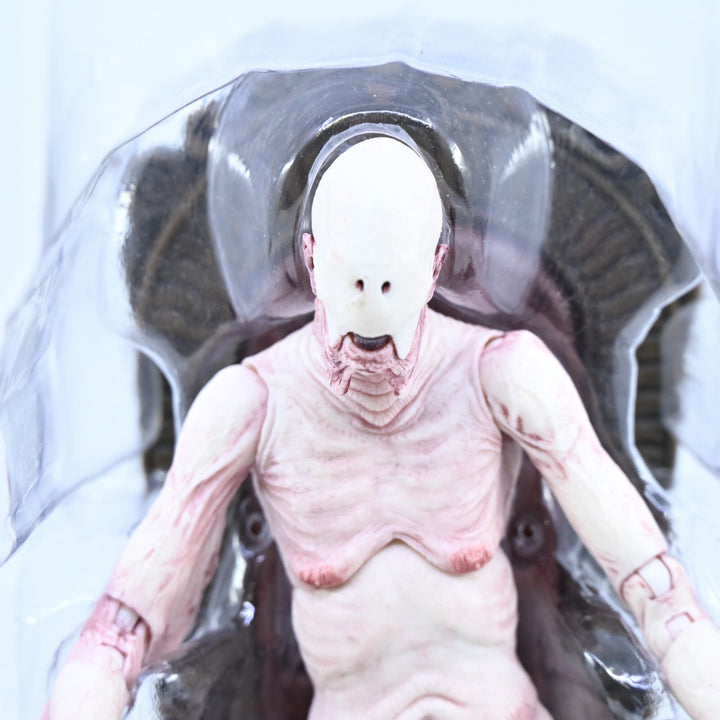 Pan's Labyrinth The Pale Man 7" Figure - Del Toro Signature Collection - NECA