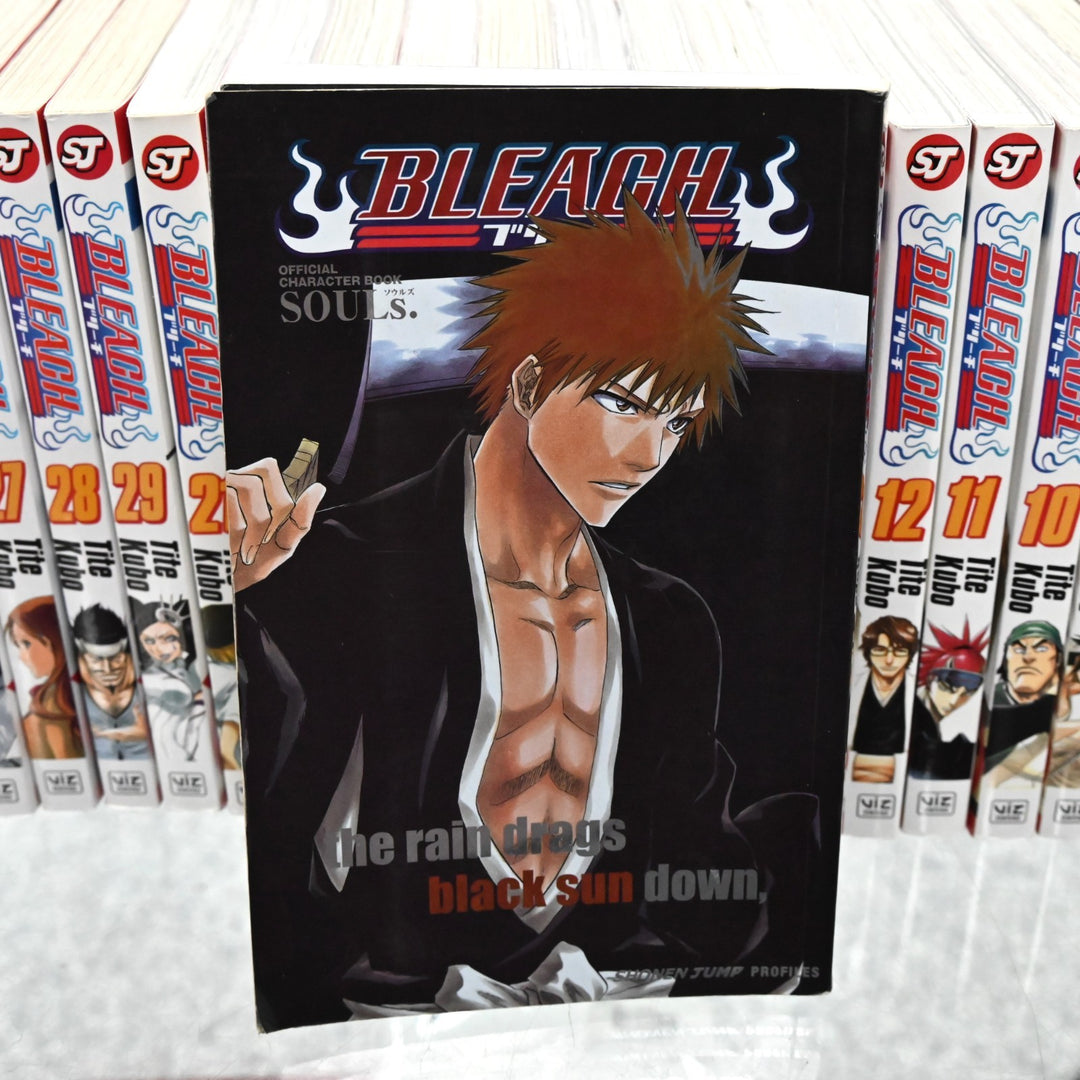 Bleach + Official Character Book - Vol.1 - 29 - Tite Kubo - Manga