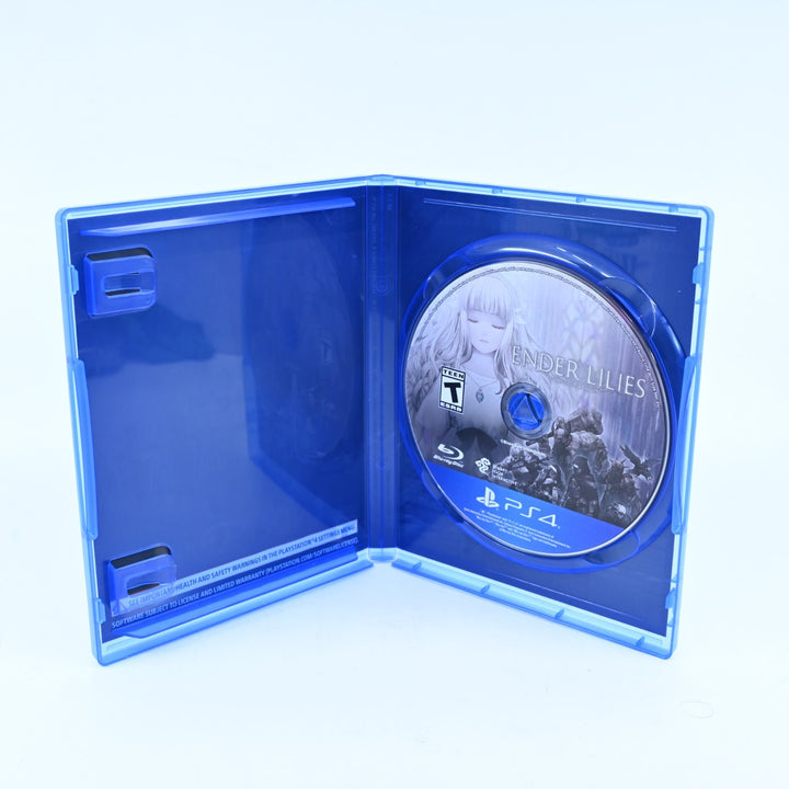 Ender Lilies - Sony Playstation 4 / PS4 Game - Region Free - MINT DISC!