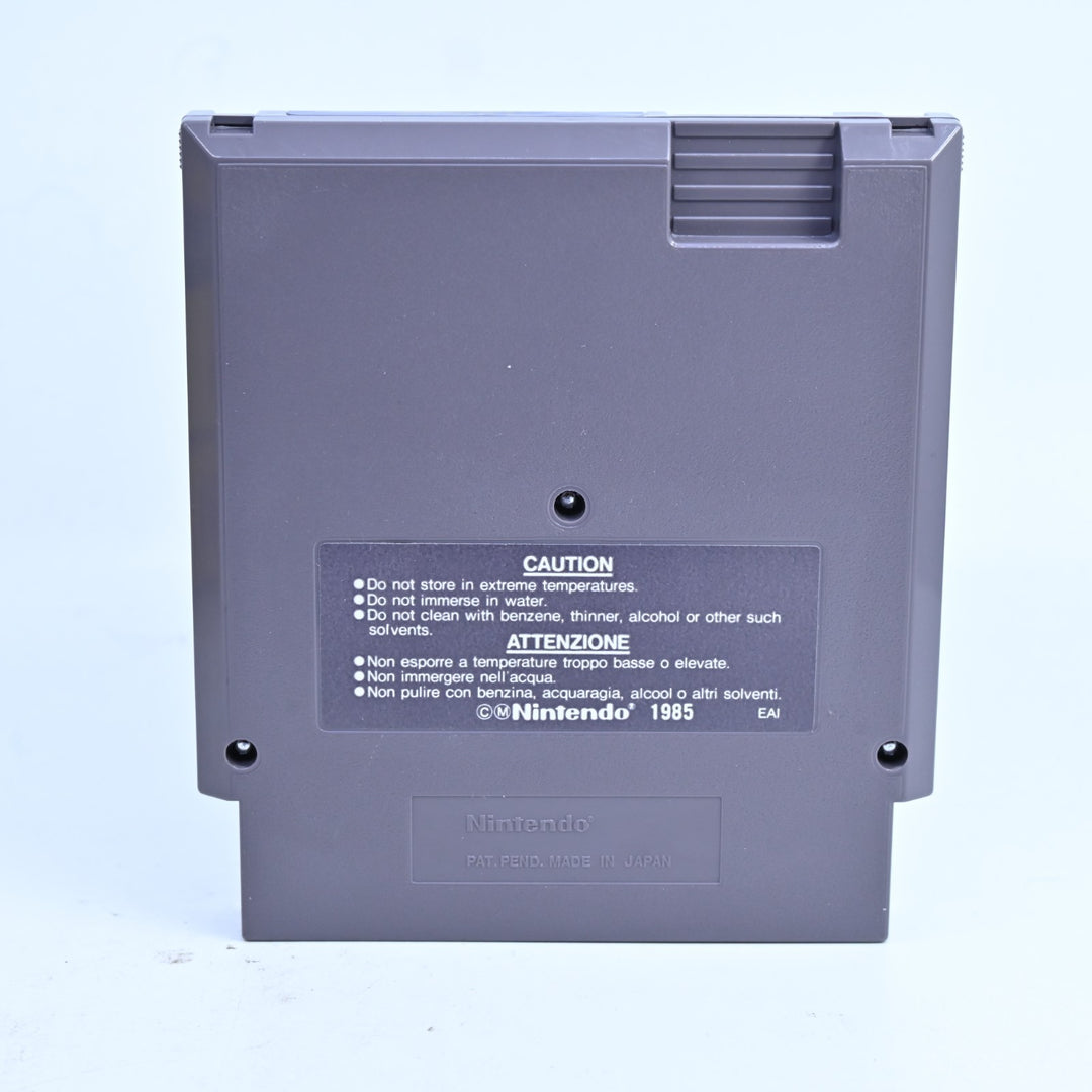 Solstice: The Quest for the Staff of Demnos - NES Boxed Game - PAL - FREE POST!