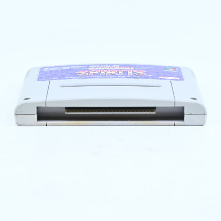 Samurai Spirits - SNES Game / Super Famicom Game - NTSC-J