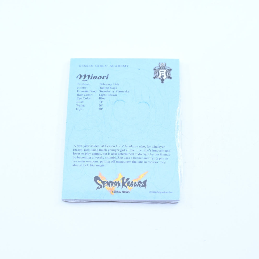 Senran Kagura Estival Versus - Endless Summer Edition - PS4 Game