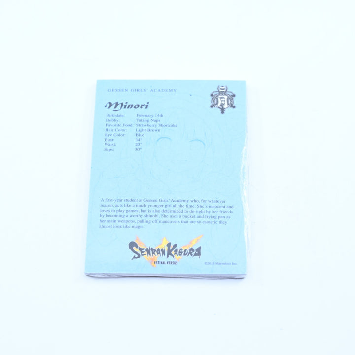 Senran Kagura Estival Versus - Endless Summer Edition - PS4 Game