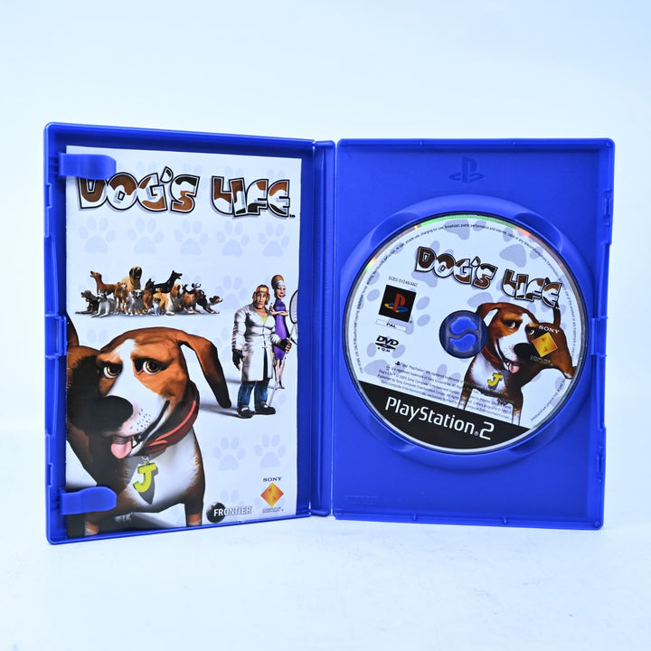 Dog&