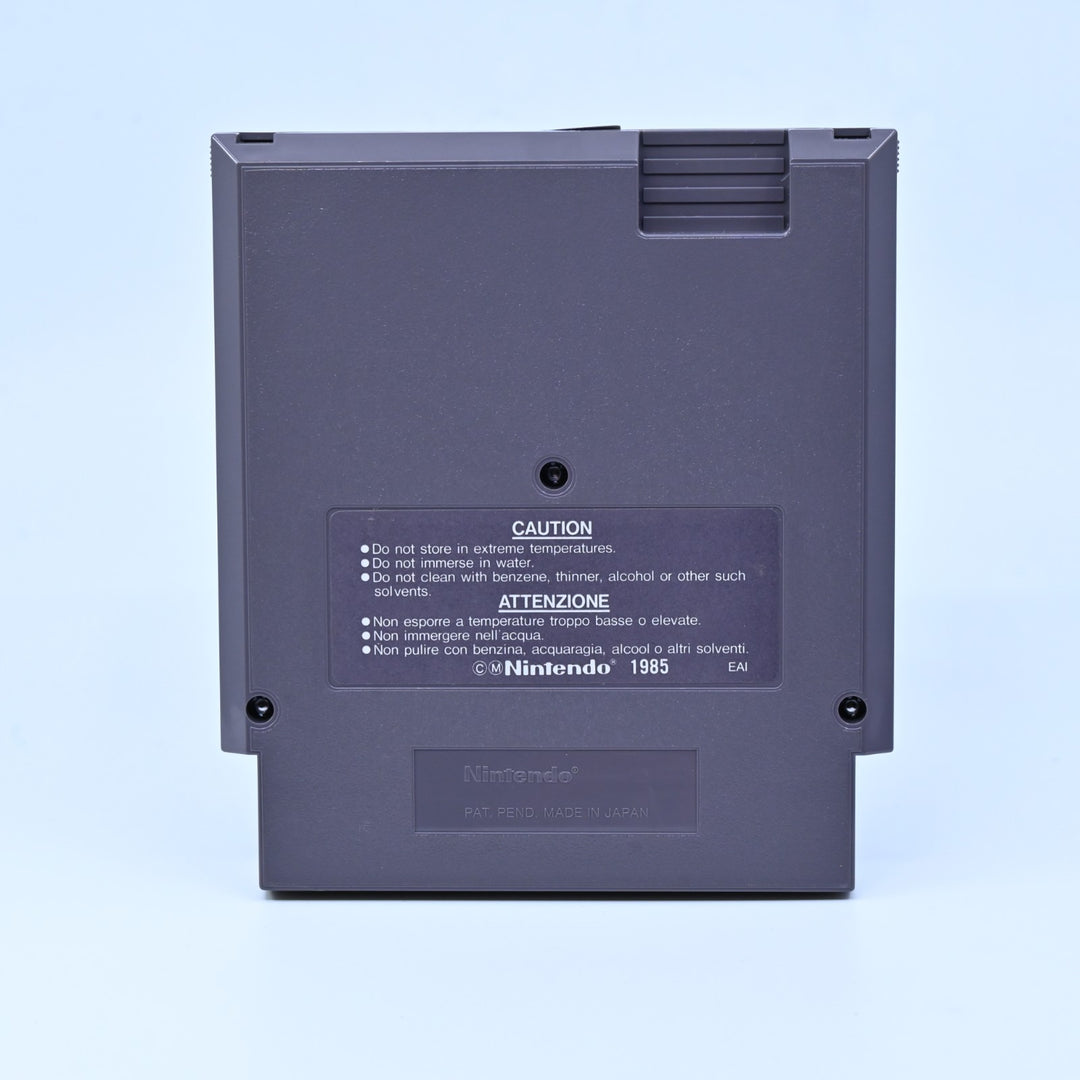 Solstice: The Quest for the Staff of Demnos - NES Boxed Game - PAL - FREE POST!